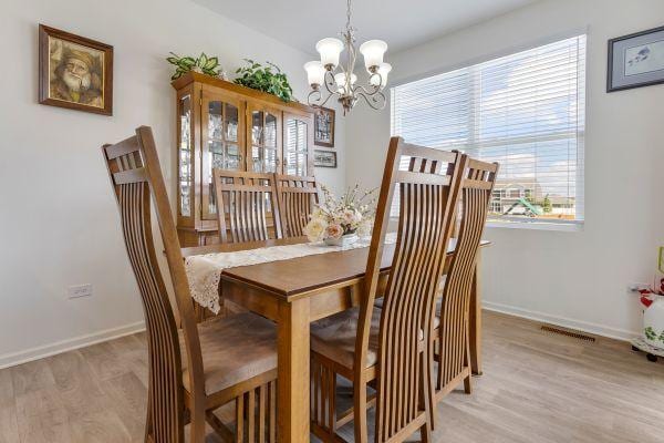 10122 Jonamac Ave, Huntley, IL 60142 - photo 5