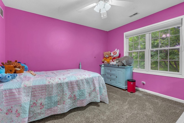 458 Brian Dr, Manteno, IL 60950 - photo 20