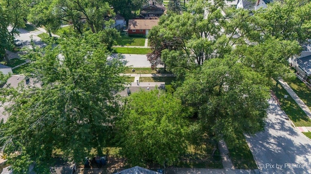 14903 Terrace Ln, Midlothian, IL 60445 - photo 31