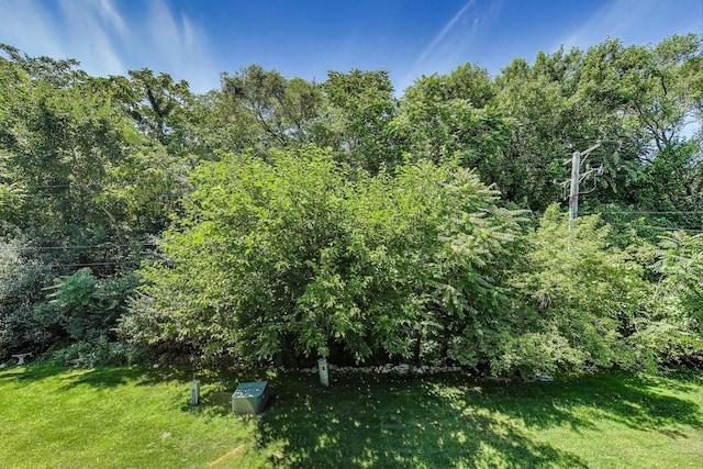 19 Cour Leroux, Palos Hills, IL 60465 - photo 23