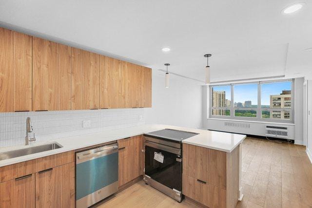 88 W Schiller St Unit 2907L, Chicago, IL 60610 - photo 23