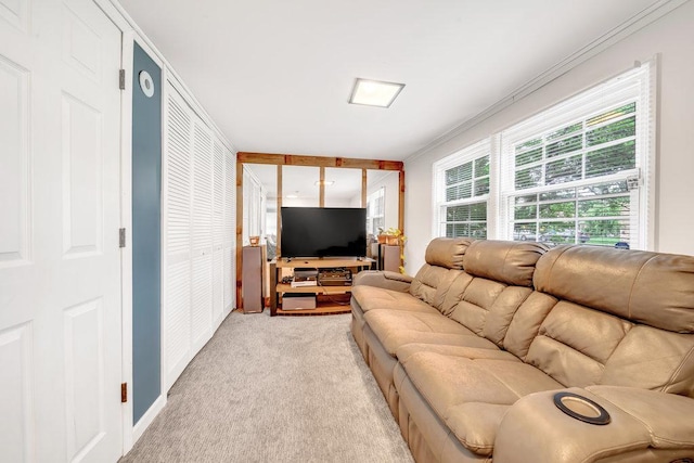 10114 S 81st Ct, Palos Hills, IL 60465 - photo 21