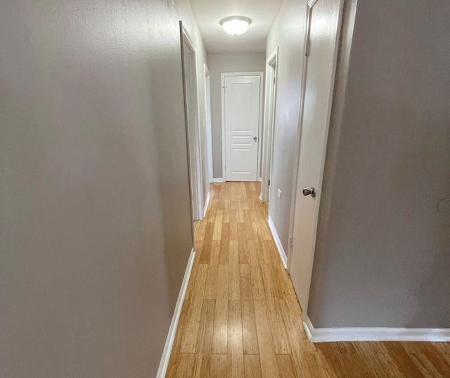 546 Landmeier Rd, Elk Grove Village, IL 60007 - photo 9