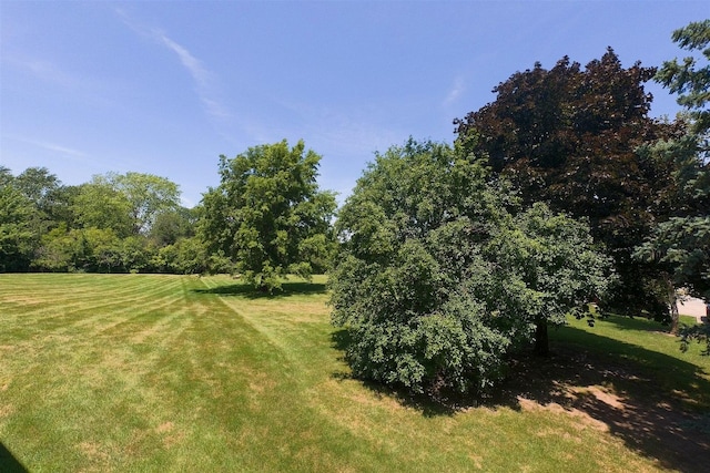 603 Carol Ct Unit 0, Pontiac, IL 61764 - photo 24