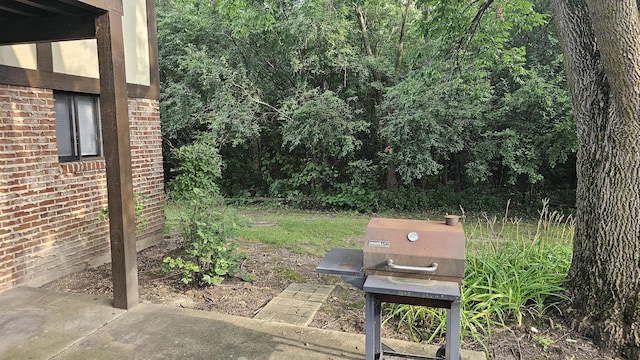 1094 Cornell Ave Unit 1A, Wheeling, IL 60090 - photo 29