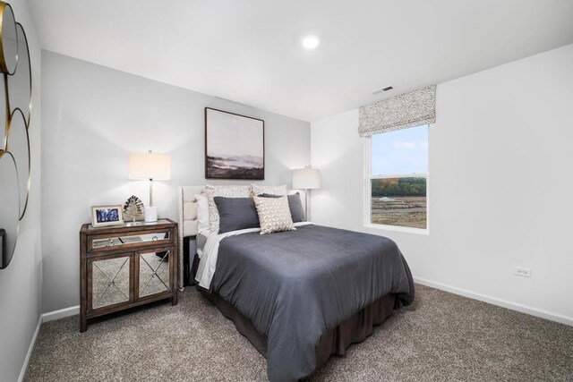 1343 Jackson Dr, Pingree Grove, IL 60140 - photo 21