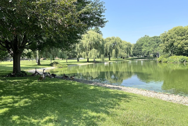 26 N Regency Dr E, Arlington Heights, IL 60004 - photo 36
