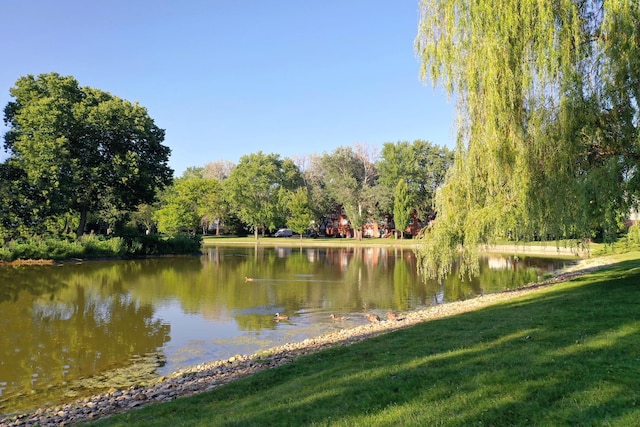 26 N Regency Dr E, Arlington Heights, IL 60004 - photo 46