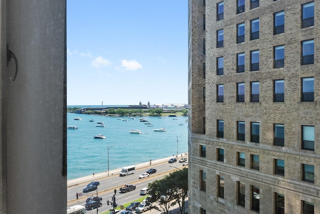 860 N Lake Shore Dr Unit 8L, Chicago, IL 60611 - photo 24