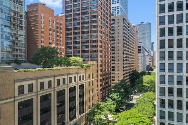 860 N Lake Shore Dr Unit 8L, Chicago, IL 60611 - photo 37