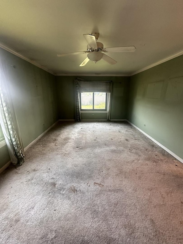 841 Yosemite Trl Unit C, Roselle, IL 60172 - photo 10