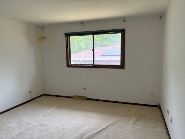 919 Patricia Ln, Crete, IL 60417 - photo 16