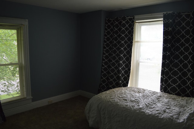 405 N Church St, Princeton, IL 61356 - photo 15