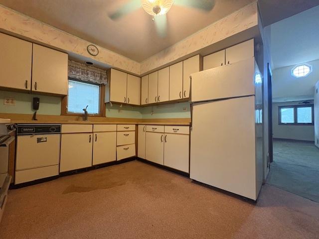 509 E Lincoln St, Arlington Heights, IL 60005 - photo 8