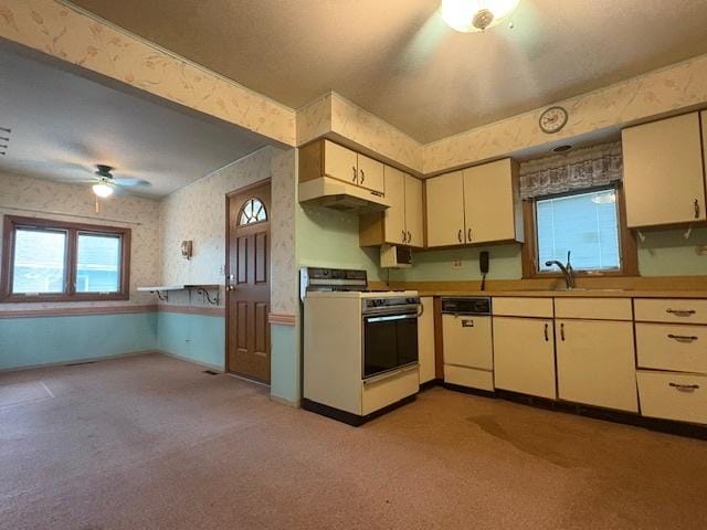 509 E Lincoln St, Arlington Heights, IL 60005 - photo 9