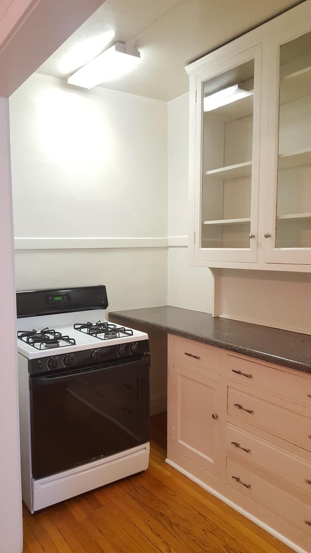 908 S Lombard Ave, Oak Park, IL 60304 - photo 15