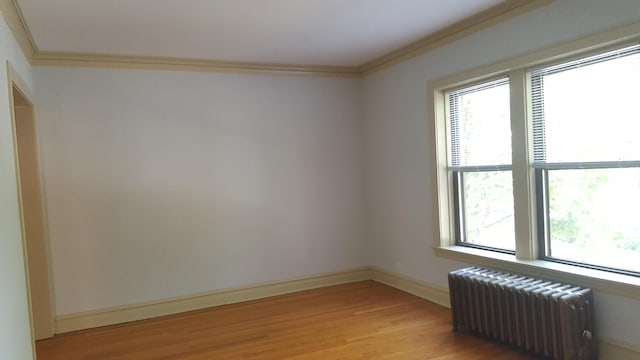 908 S Lombard Ave, Oak Park, IL 60304 - photo 9