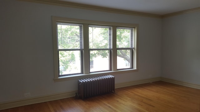 908 S Lombard Ave, Oak Park, IL 60304 - photo 10