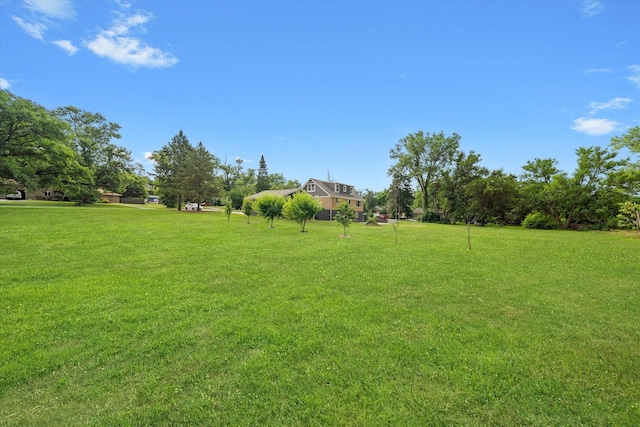 21122 S Hillside Rd, Frankfort, IL 60423 - photo 45