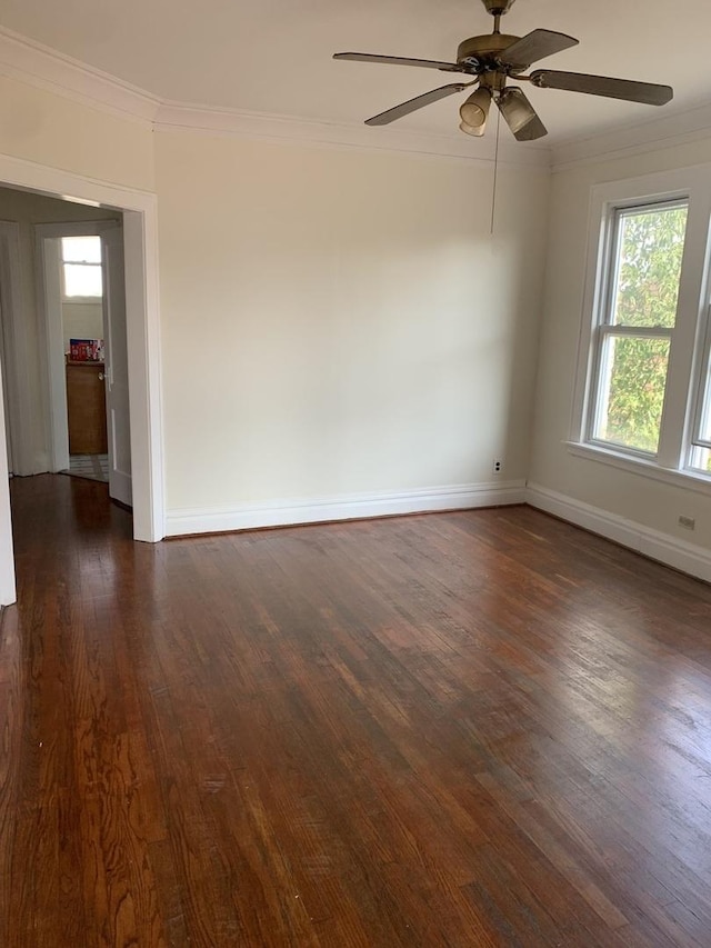 6107 S Richmond St, Chicago, IL 60629 - photo 11