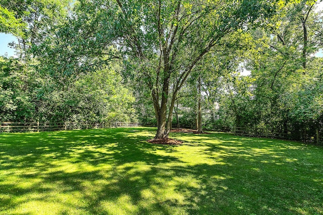 8715 W 123rd St, Palos Park, IL 60464 - photo 33