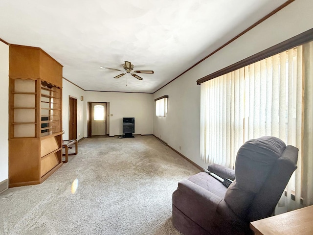 52 N Mernitz Ave, Freeport, IL 61032 - photo 11