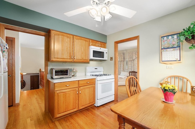 710 W Burning Tree Ln, Arlington Heights, IL 60004 - photo 9