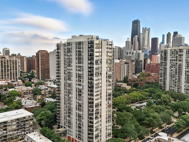 1460 N Sandburg Ter Unit 808A, Chicago, IL 60610 - photo 13