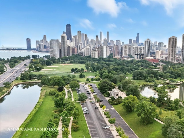 1460 N Sandburg Ter Unit 808A, Chicago, IL 60610 - photo 18