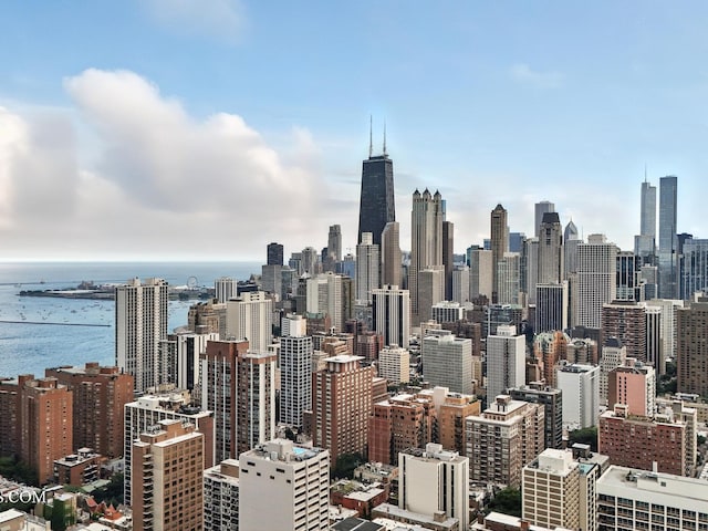 1460 N Sandburg Ter Unit 808A, Chicago, IL 60610 - photo 20