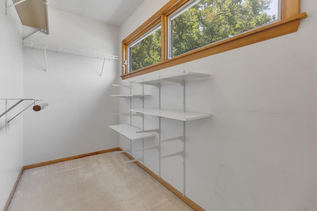 1441 Mandel Ave, Westchester, IL 60154 - photo 14