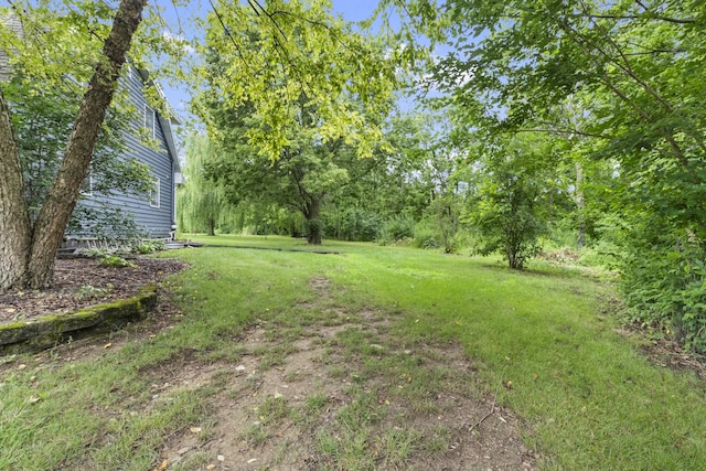 25726 S Blackberry Ln, Channahon, IL 60410 - photo 55