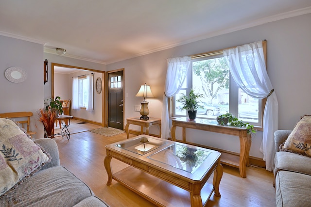 7357 N Oketo Ave, Chicago, IL 60631 - photo 6