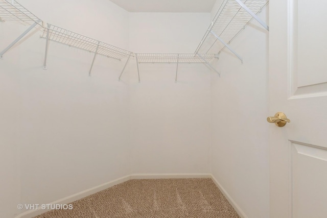 18248 Murphy Cir Unit 18248, Tinley Park, IL 60487 - photo 14