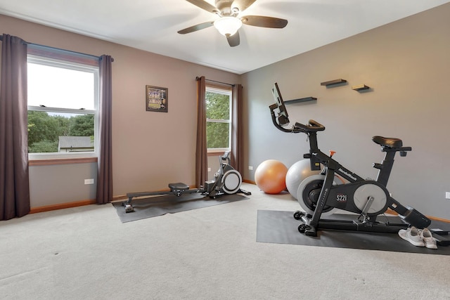 710 Sprucetree Ln, Algonquin, IL 60102 - photo 19