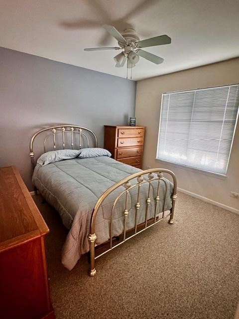 1325 S Elder Ln, Waukegan, IL 60085 - photo 12