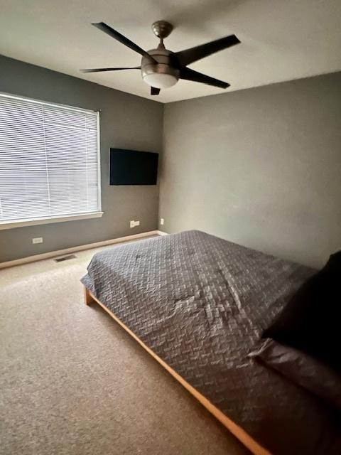 1325 S Elder Ln, Waukegan, IL 60085 - photo 13