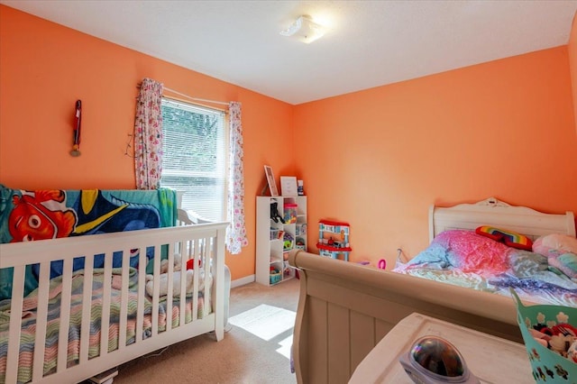 1107 Woodbury Pl, Bloomington, IL 61701 - photo 10