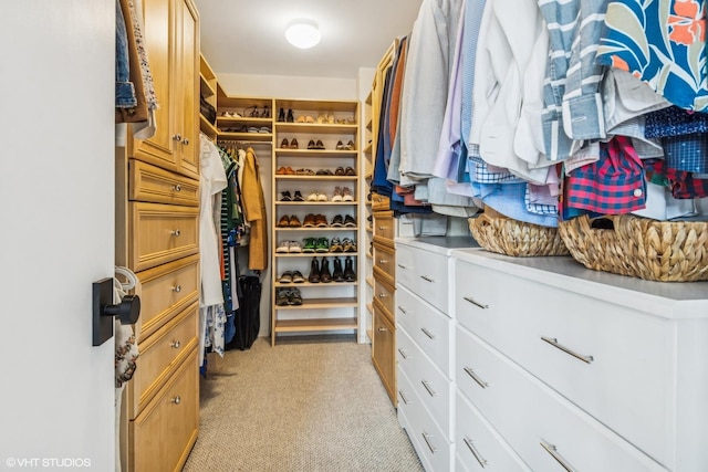2008 W Willow St Unit C, Chicago, IL 60647 - photo 16