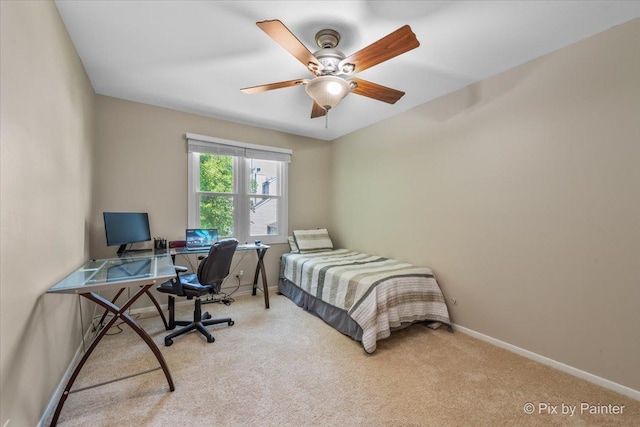 1085 Oswego Rd, Naperville, IL 60540 - photo 21