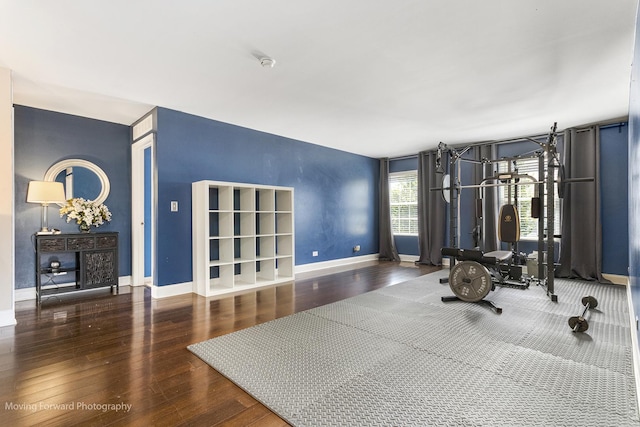 740 Glen Cove Ln, Pingree Grove, IL 60140 - photo 32