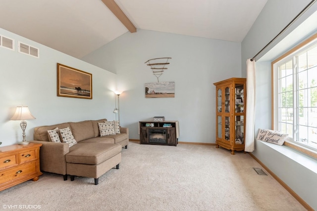 6905 Cornwall Dr, Joliet, IL 60431 - photo 3