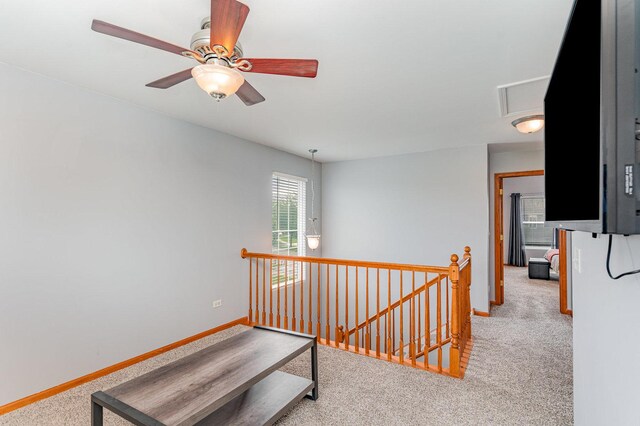 301 Switchgrass Dr, Minooka, IL 60447 - photo 16