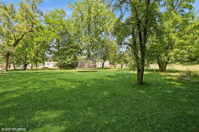 3636 172nd St, Lansing, IL 60438 - photo 9