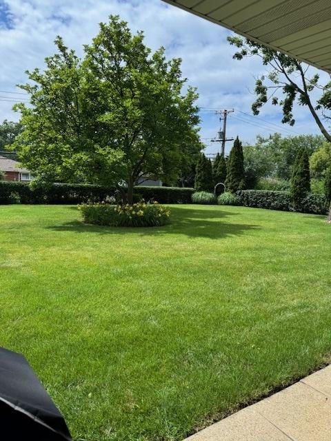 1014 N Elmhurst Rd, Prospect Heights, IL 60070 - photo 28