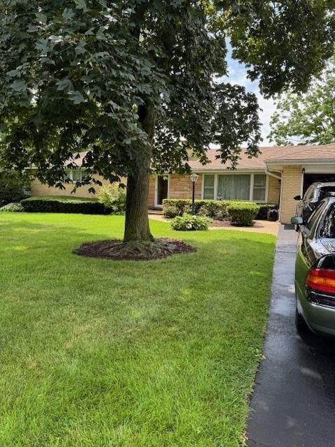 1014 N Elmhurst Rd, Prospect Heights, IL 60070 - photo 6
