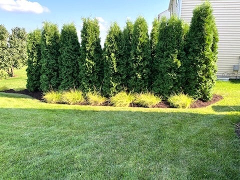 296 N Cardinal St, Cortland, IL 60112 - photo 31