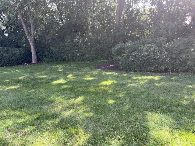 119 Concord Ln Unit 119, Carol Stream, IL 60188 - photo 23