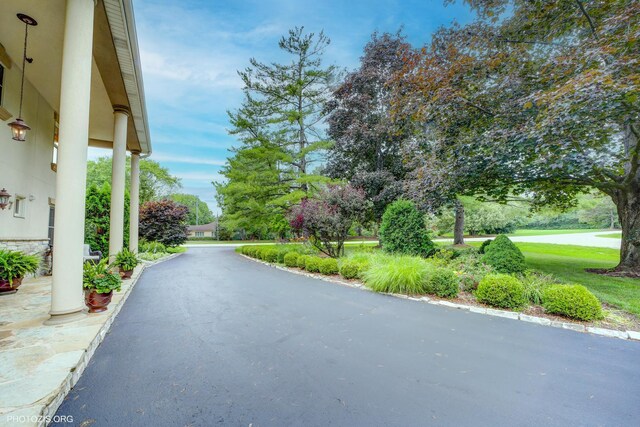 227 Stratford Ln, Inverness, IL 60010 - photo 51