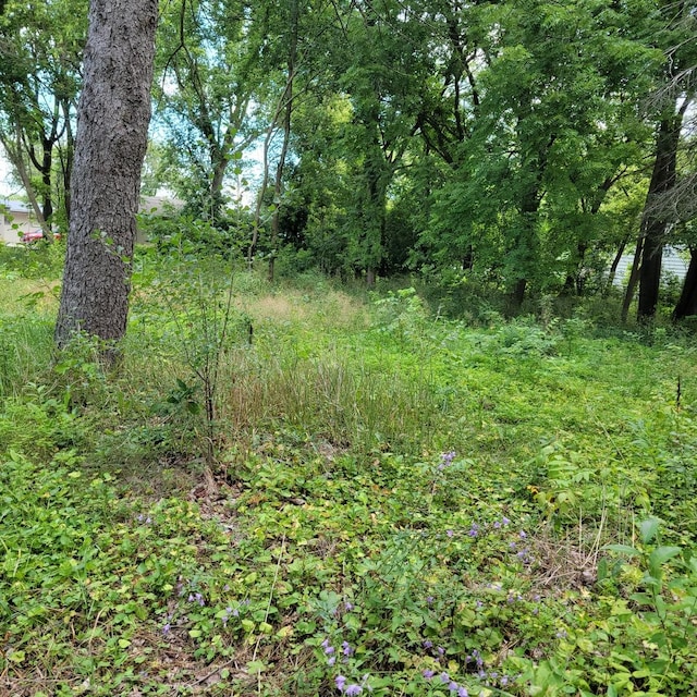 25578 W High St W, Wauconda, IL 60084 - photo 1